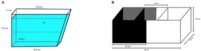 The Effects of Social vs. Individual Housing of Zebrafish on Whole-Body Cortisol and Behavior in Two Tests of Anxiety